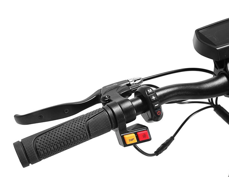 Kugoo G2 Pro Electric Scooter - Official Hoverboard